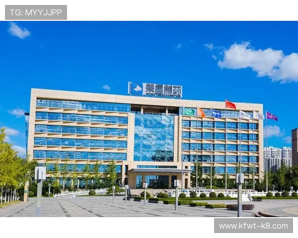 凯发集团会员注册不了的常见问题及专业的解决方案全攻略